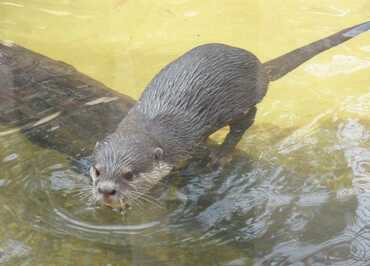 Biotropica © Eure Tourisme, C. Michaud