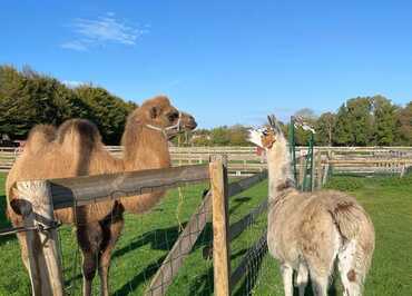 Ferme de Saint-Cyr