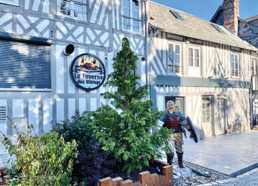 La Taverne des Vikings à Saint Georges du Vièvre